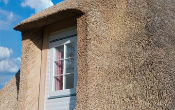Forthay thatch roof disadvantages
